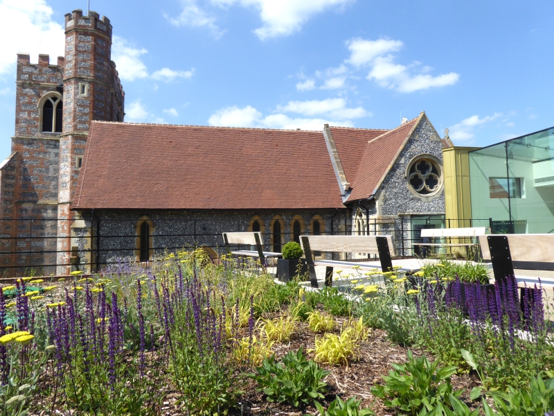 Bradfield College